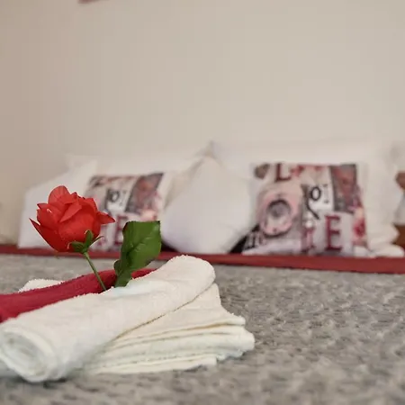 Apartment Antonio Zadar